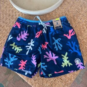 Chubbies Blue and Green Swim Shorts